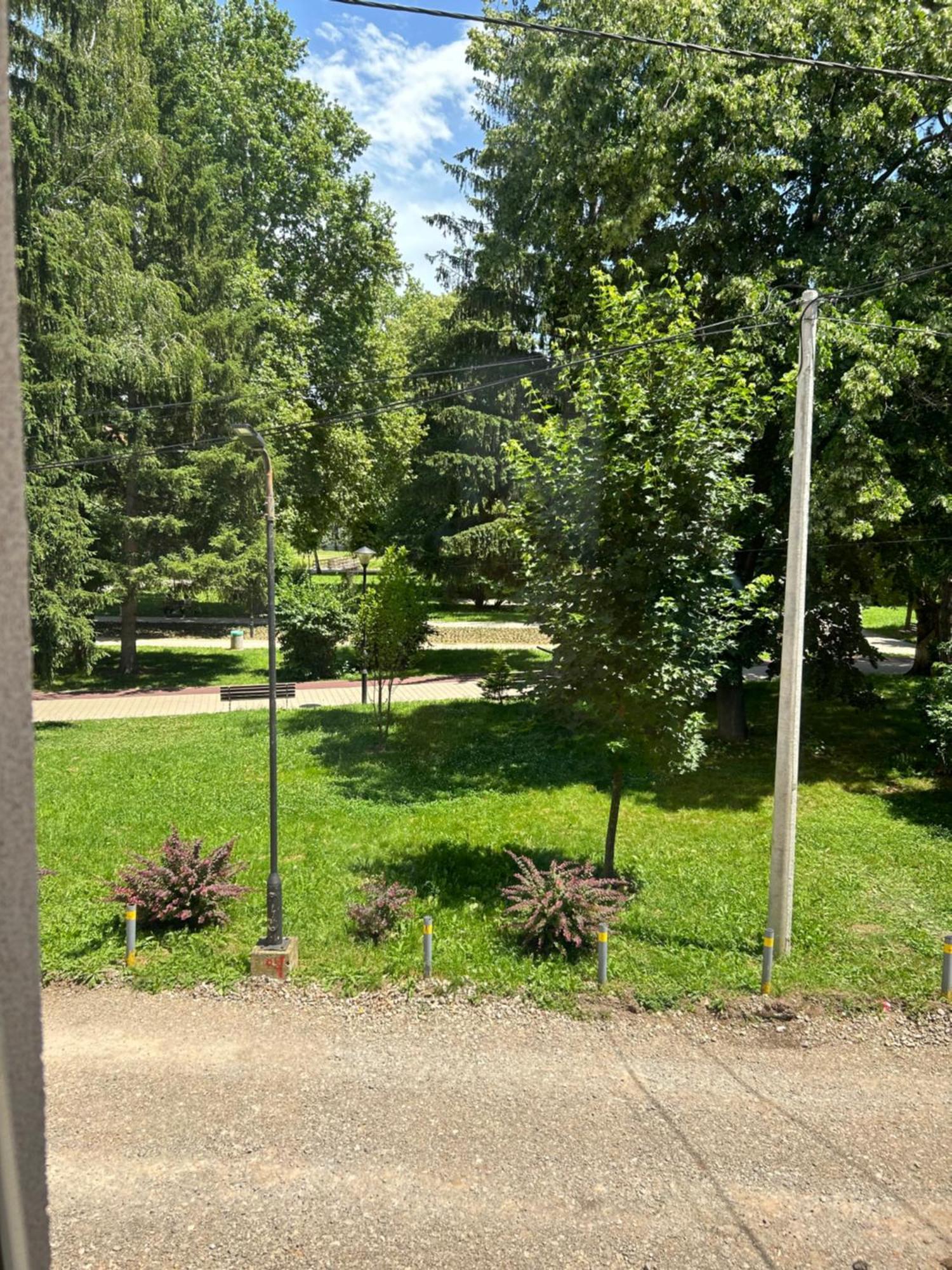 Vila Markovic-A Сокобаня Экстерьер фото